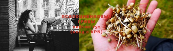 каннабис Баксан