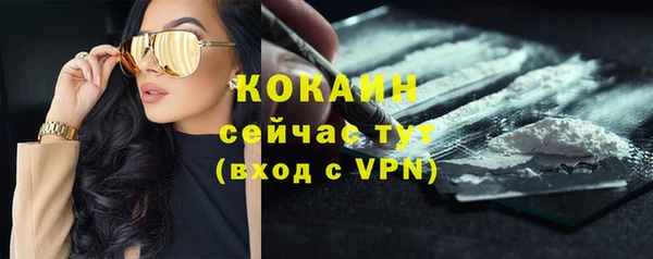 ГАЛЛЮЦИНОГЕННЫЕ ГРИБЫ Балабаново