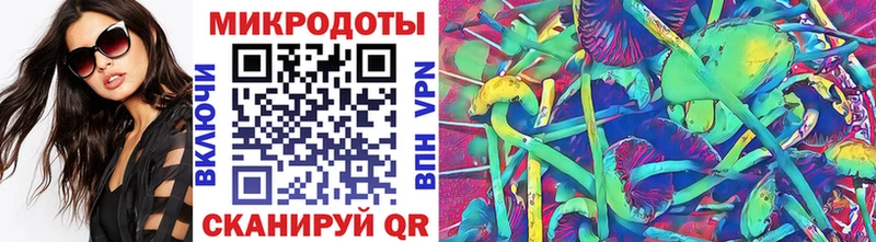 дарнет шоп  Вичуга  Псилоцибиновые грибы MAGIC MUSHROOMS 