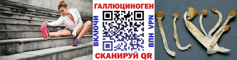 Псилоцибиновые грибы Cubensis Вичуга
